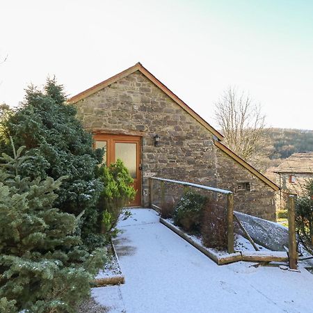 Y Felin Villa Llanybydder Exterior photo